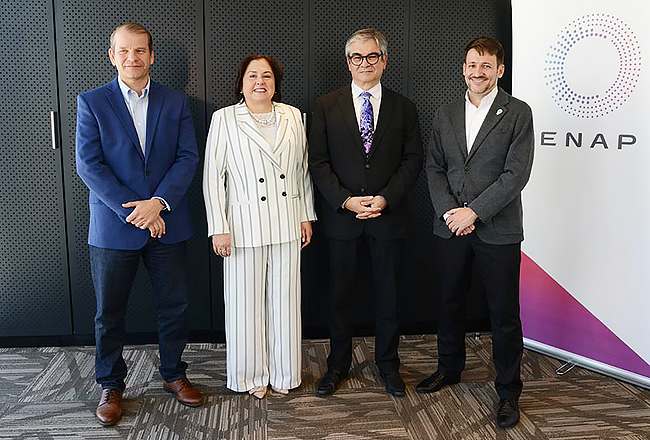 Julio Friedmann, Gloria Maldonado, Mario Marcel y Diego Pardow.